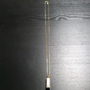 Express Reversible Charm Gold Necklace